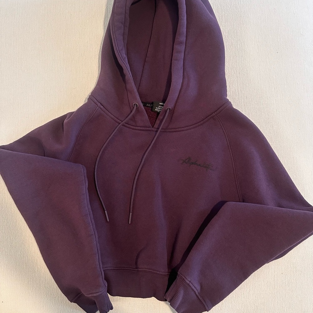 Alphalete crop hoodie